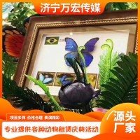 蝴蝶展租赁